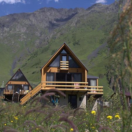 Mood Villa Kazbegi Exteriér fotografie