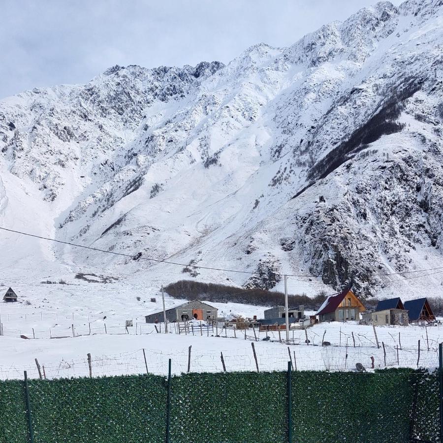 Mood Villa Kazbegi Exteriér fotografie