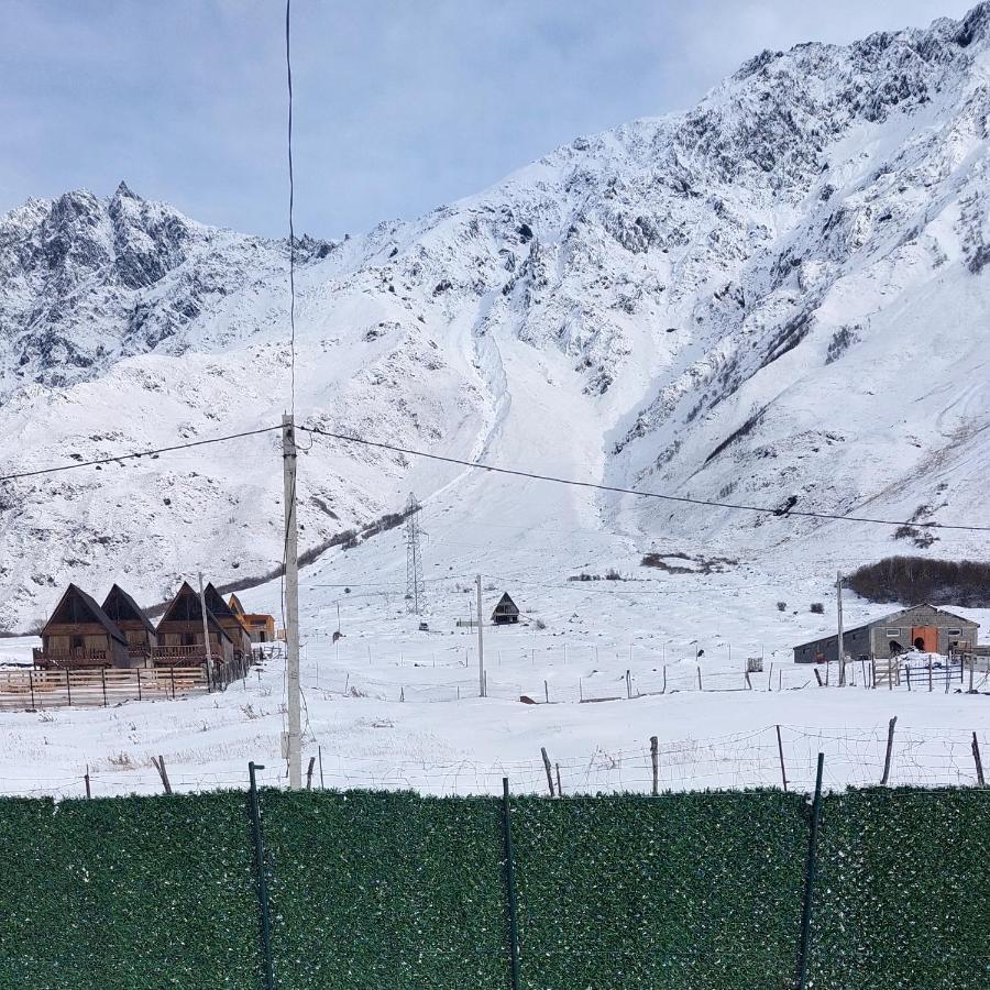 Mood Villa Kazbegi Exteriér fotografie